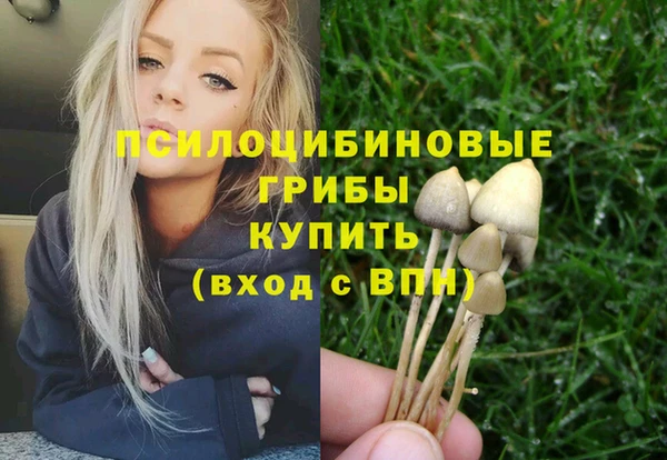 ГАЛЛЮЦИНОГЕННЫЕ ГРИБЫ Белокуриха