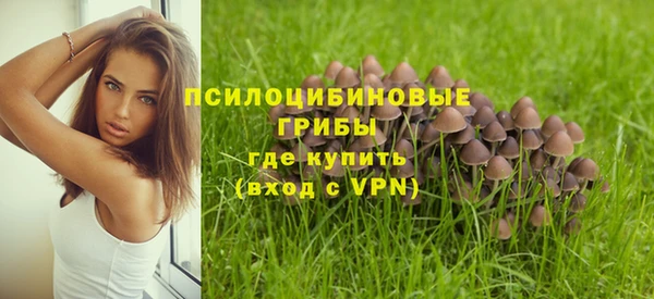 метадон Белоозёрский