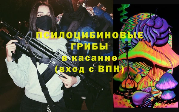 ГАЛЛЮЦИНОГЕННЫЕ ГРИБЫ Белокуриха
