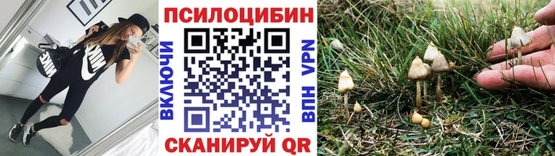 Псилоцибиновые грибы ЛСД  сколько стоит  Певек 